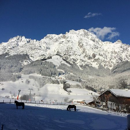 Stockingbauer Villa Leogang Dış mekan fotoğraf