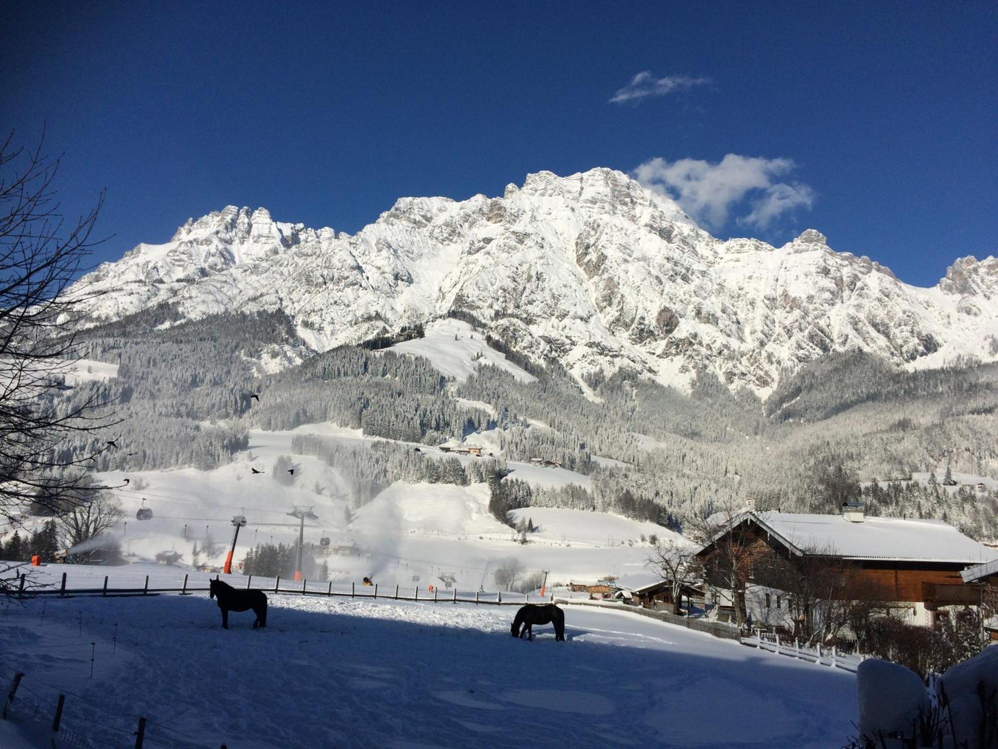 Stockingbauer Villa Leogang Dış mekan fotoğraf