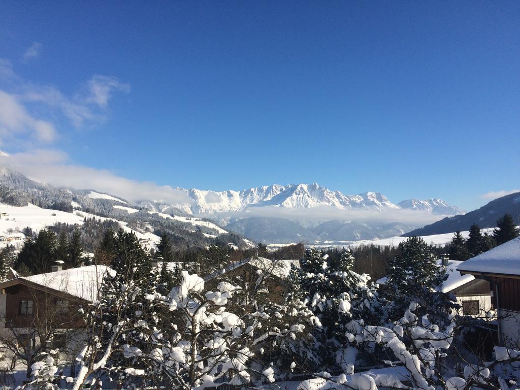 Stockingbauer Villa Leogang Dış mekan fotoğraf